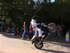 IMG_0111.jpg (75kb)