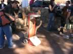IMG_0120.jpg (117kb)
